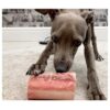 NI Playbone small (pack of 2) - Image 2